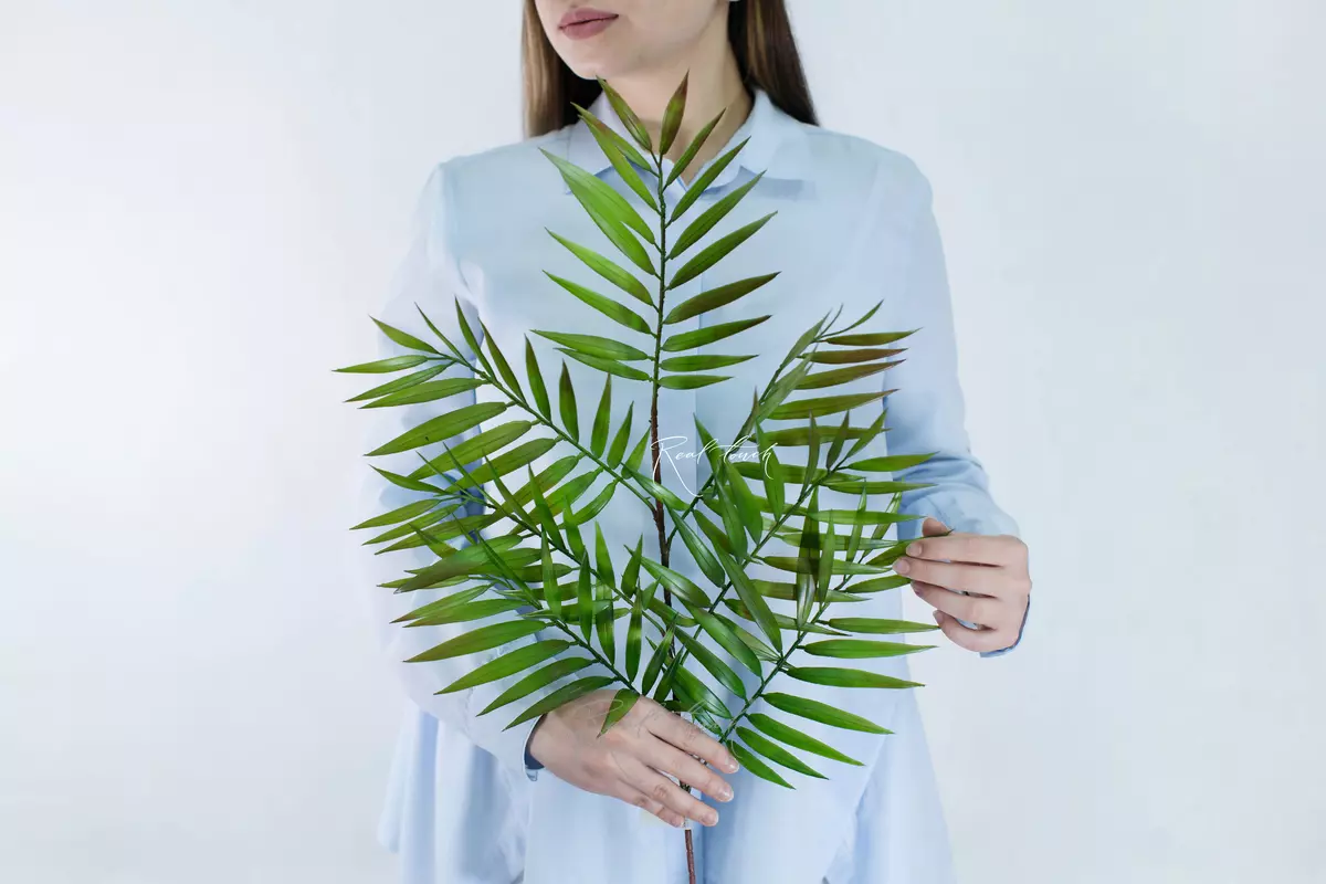 Hamedorea branch 88cm - Green purple