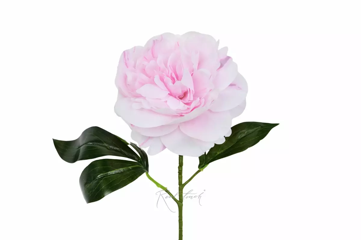 Real Touch Silicone Peony Stem - light pink