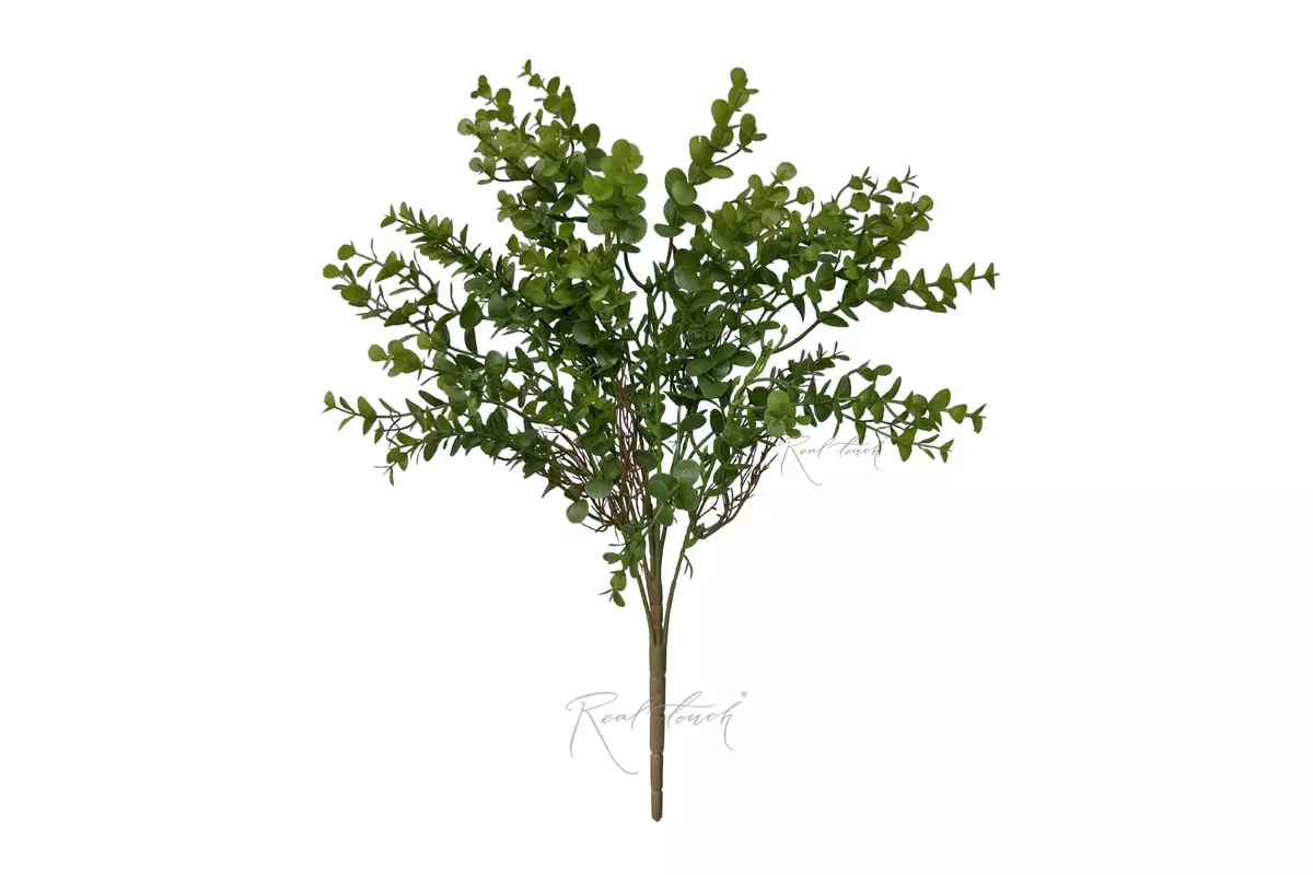Eucalyptus Bush - green Eucalyptus Bush - green