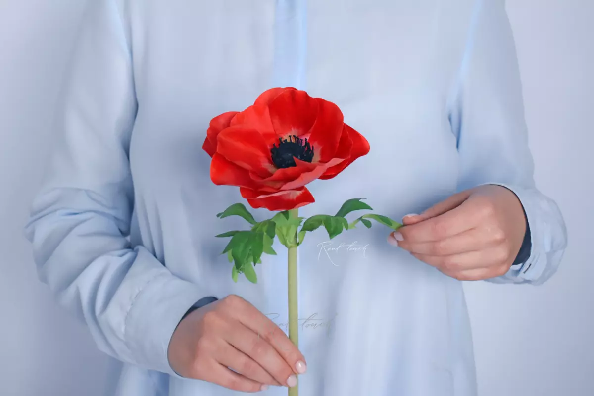 Anemone - red