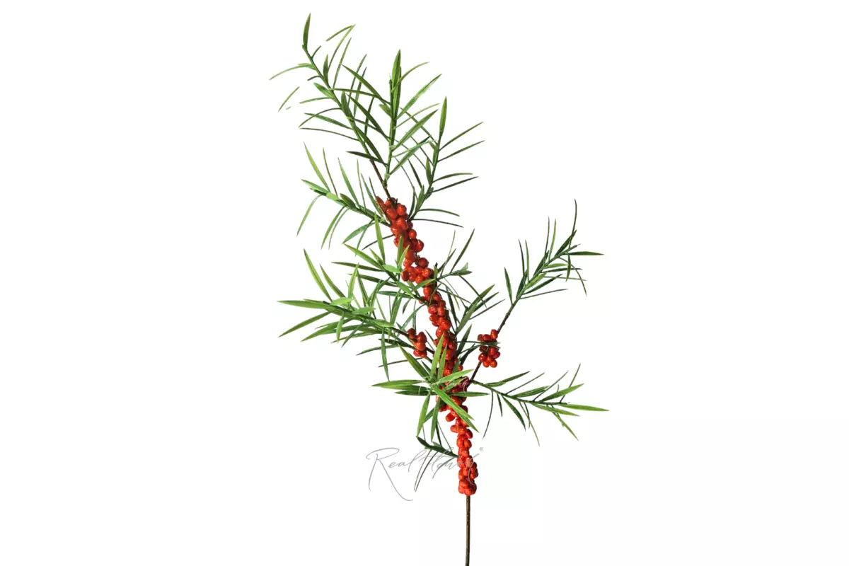Sea buckthorn branch - Red orange Sea buckthorn branch - Red orange