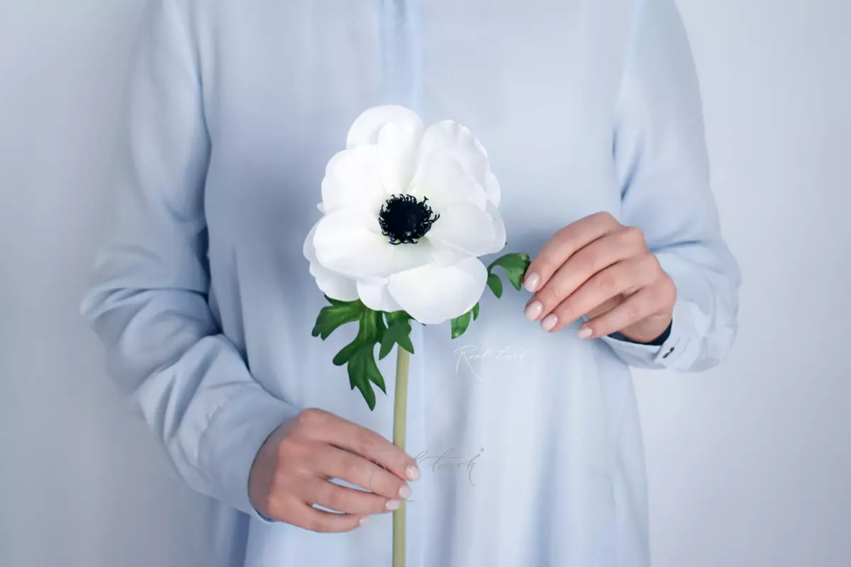 Anemone - white Anemone - white