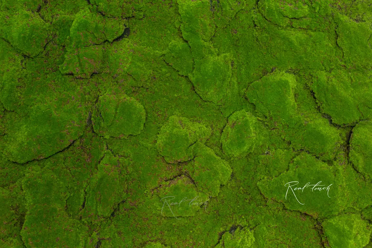 Mat with lumps of moss on felt (dark base) 1*2m - green Mat with lumps of moss on felt (dark base) 1*2m - green