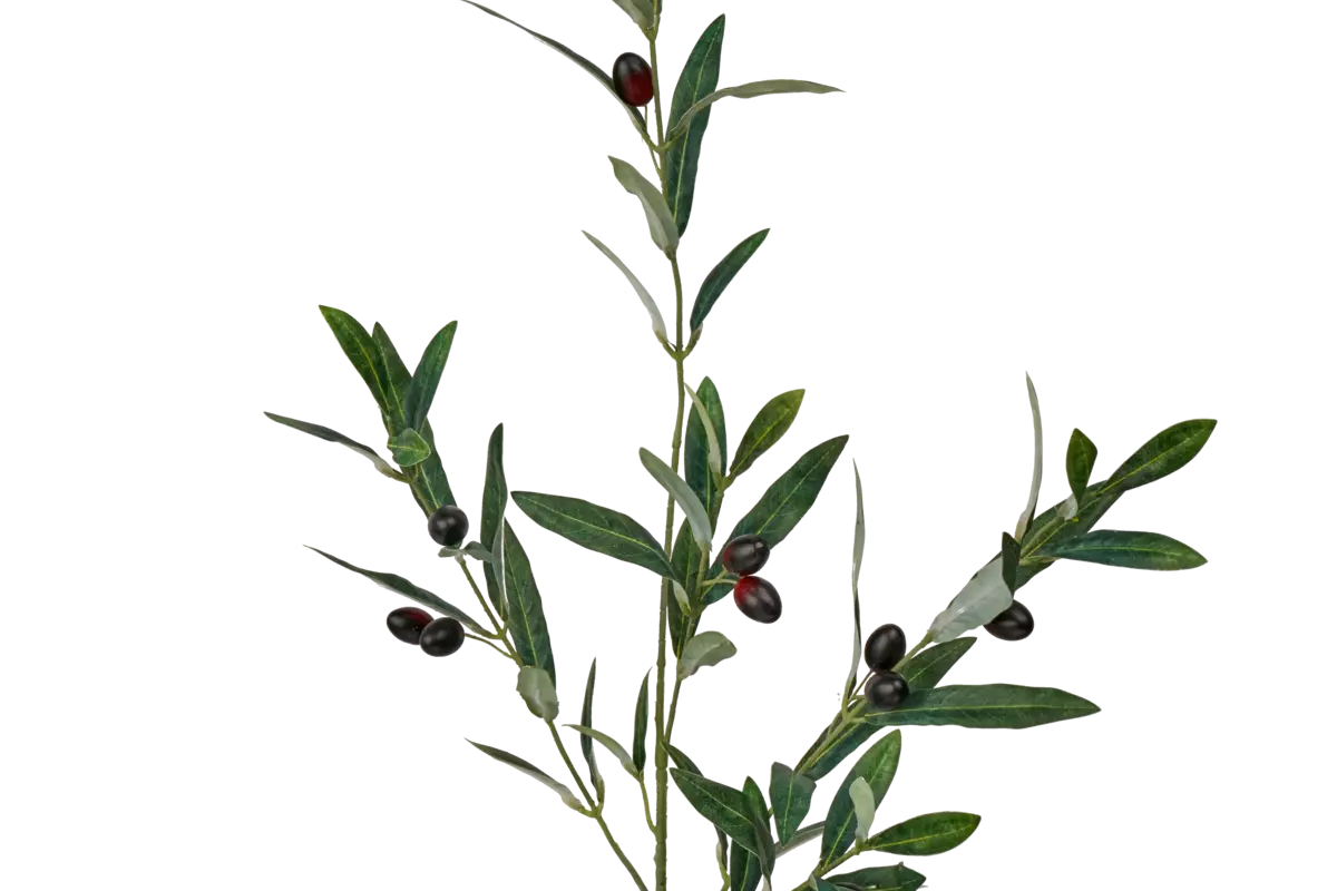 Olive branch with fruits high 112cm - green