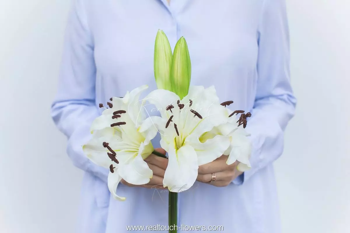 Lily Bouquet 4+2 - white Lily Bouquet 4+2 - white