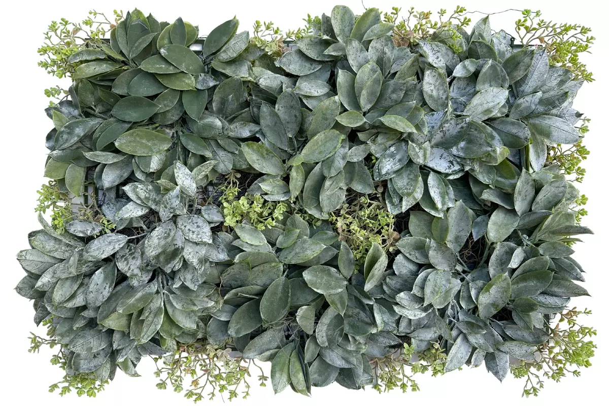 Wide Leaf Panel 40*60cm - dusty green