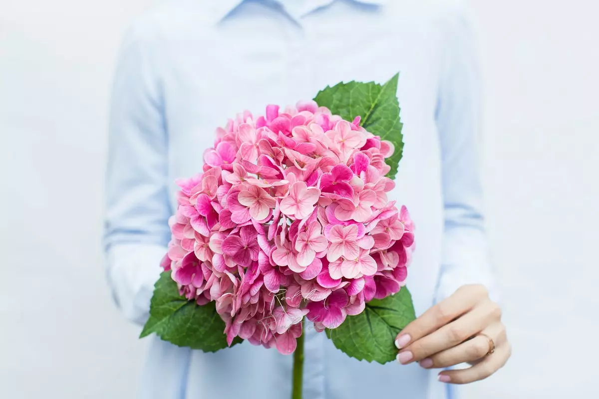 Real Touch Garden Hydrangea (with stem) - fuchsia