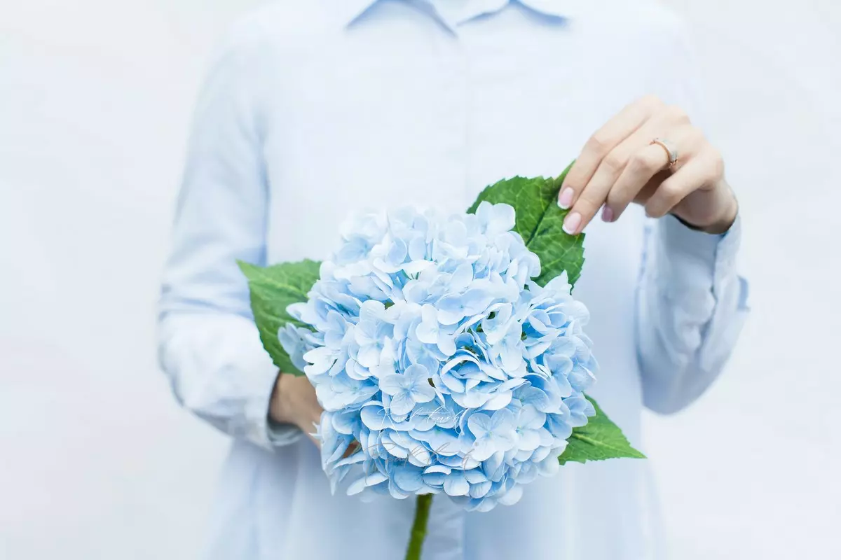 Real Touch Garden Hydrangea (with stem) - light blue Real Touch Garden Hydrangea (with stem) - light blue
