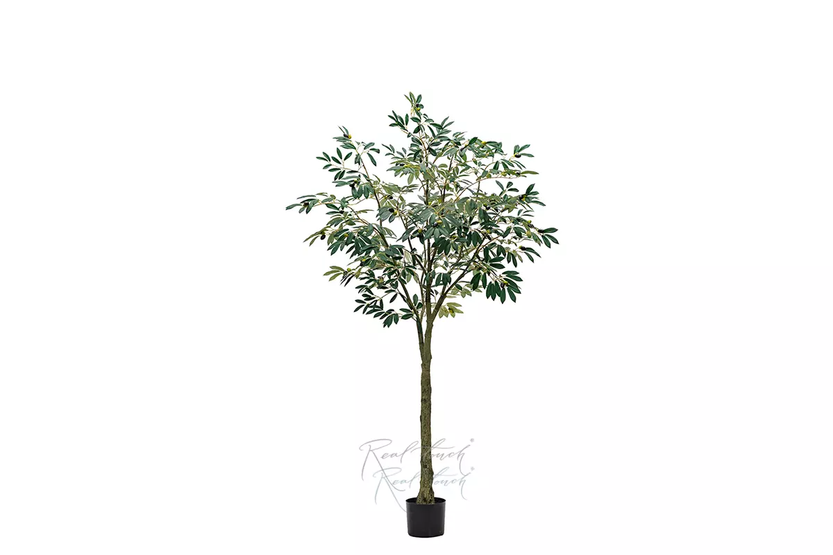 Artificial Olive tree Leccino 180 cm in pot - green Artificial Olive tree Leccino 180 cm in pot - green