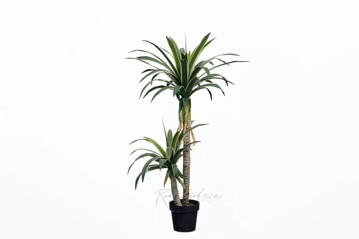 Yucca Gloriosa 120cm in pot - green Yucca Gloriosa 120cm in pot - green