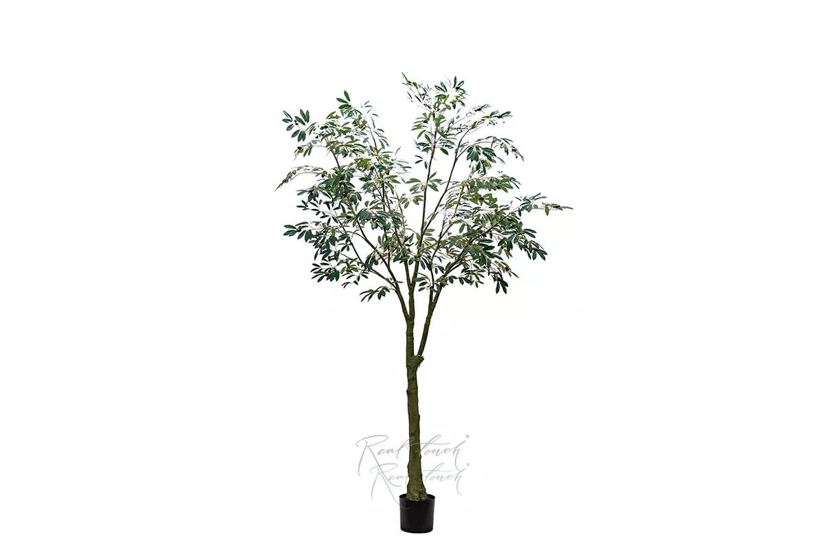 Real Touch Leccino Olive tree 240cm - green Real Touch Leccino Olive tree 240cm - green