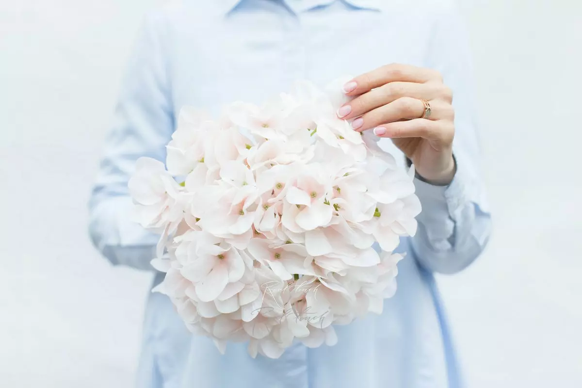 Real Touch Hydrangea arborescens (without stem) - Light peach