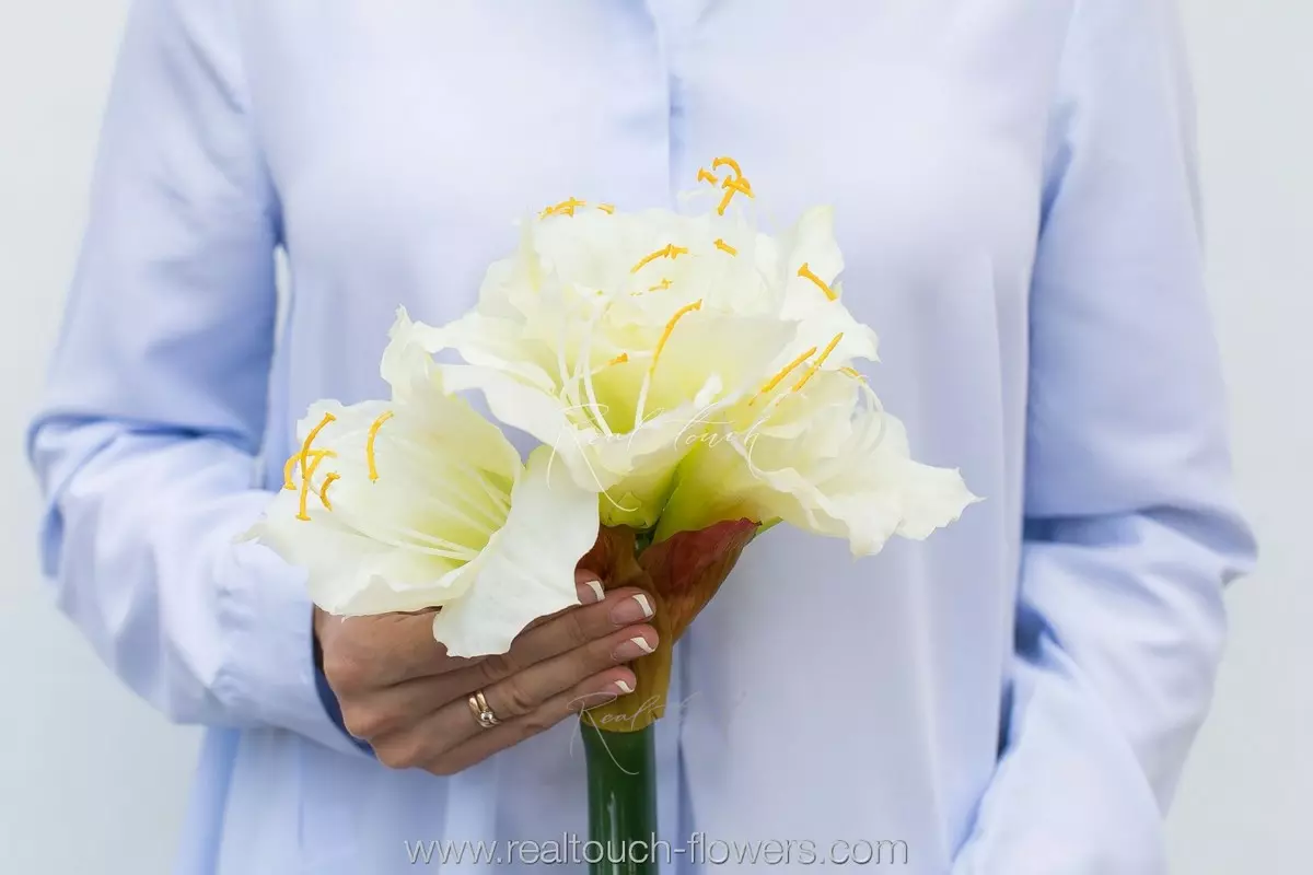 Large Amaryllis - white Large Amaryllis - white
