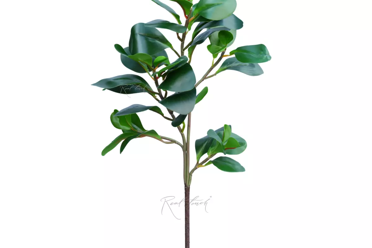 Branch with watercress leaves - green Branch with watercress leaves - green
