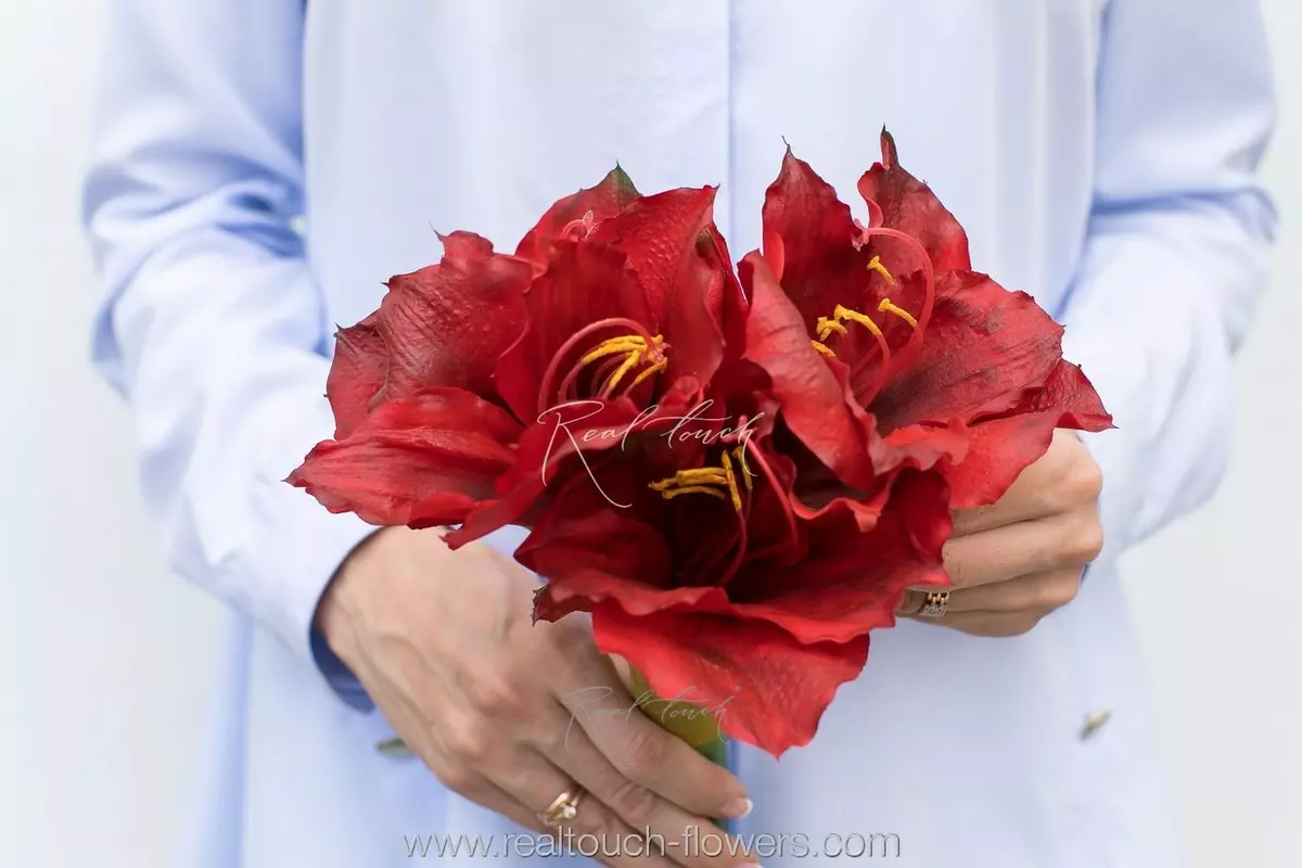 Large Amaryllis - red Large Amaryllis - red
