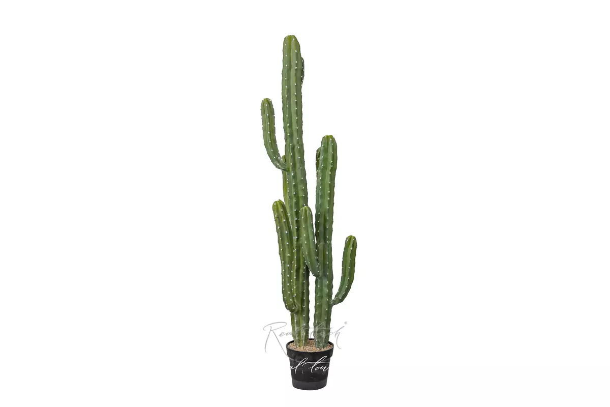 Real Touch Cactus Cereus Jamakaru 143cm - green Real Touch Cactus Cereus Jamakaru 143cm - green