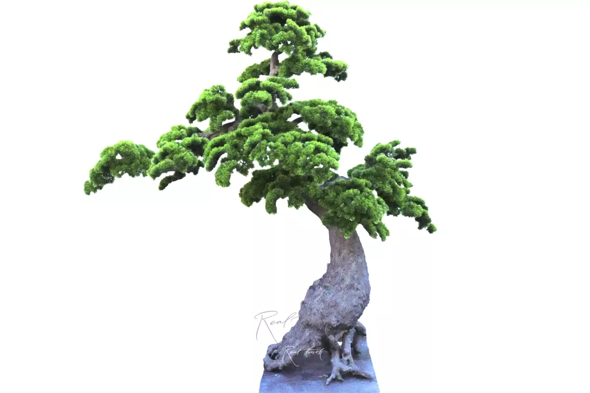 Bonsai tree 200*200*100 cm - green