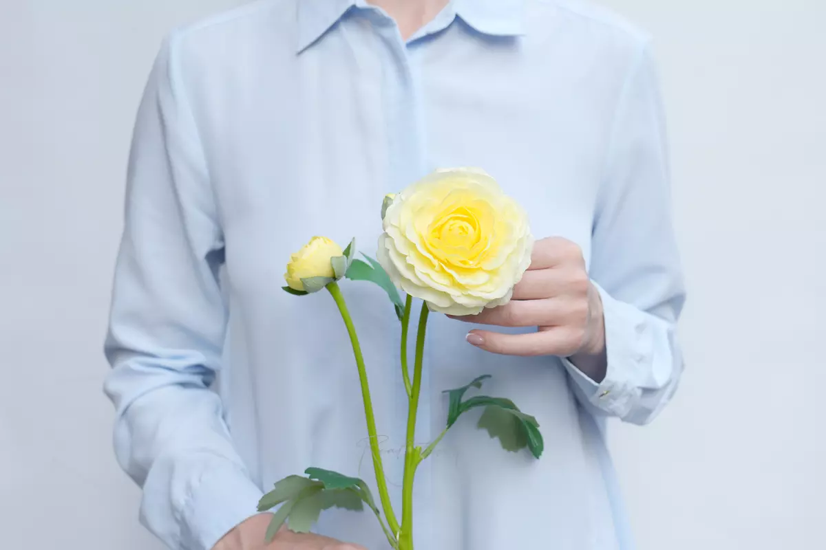 Ranunculus asiaticus Pauline - Light yellow Ranunculus asiaticus Pauline - Light yellow