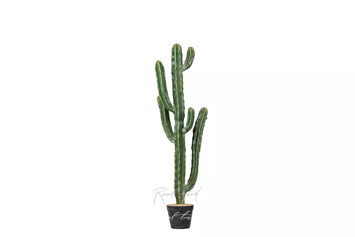 Real Touch Cactus Cereus Jamakaru 105cm  - Dark green