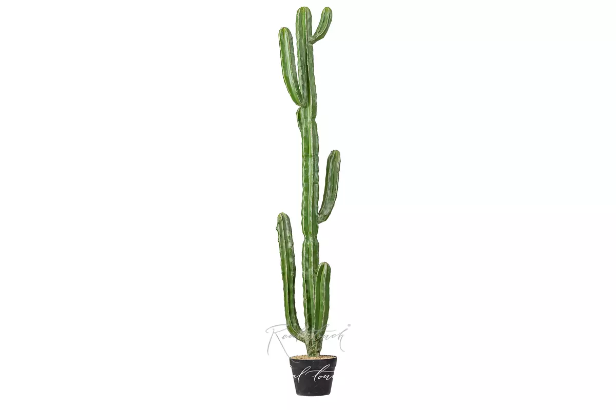 Real Touch Cactus Cereus Jamakaru 147cm  - Dark green