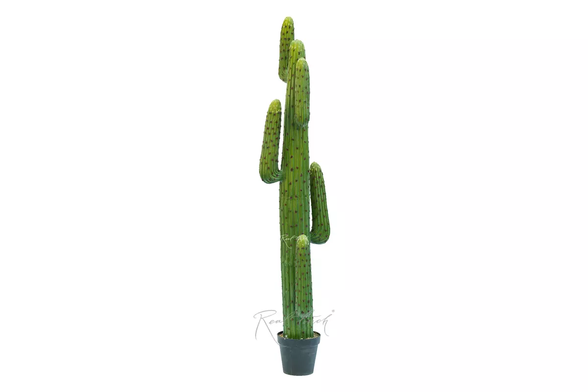 Real Touch Cactus Cereus round 172cm - green Real Touch Cactus Cereus round 172cm - green