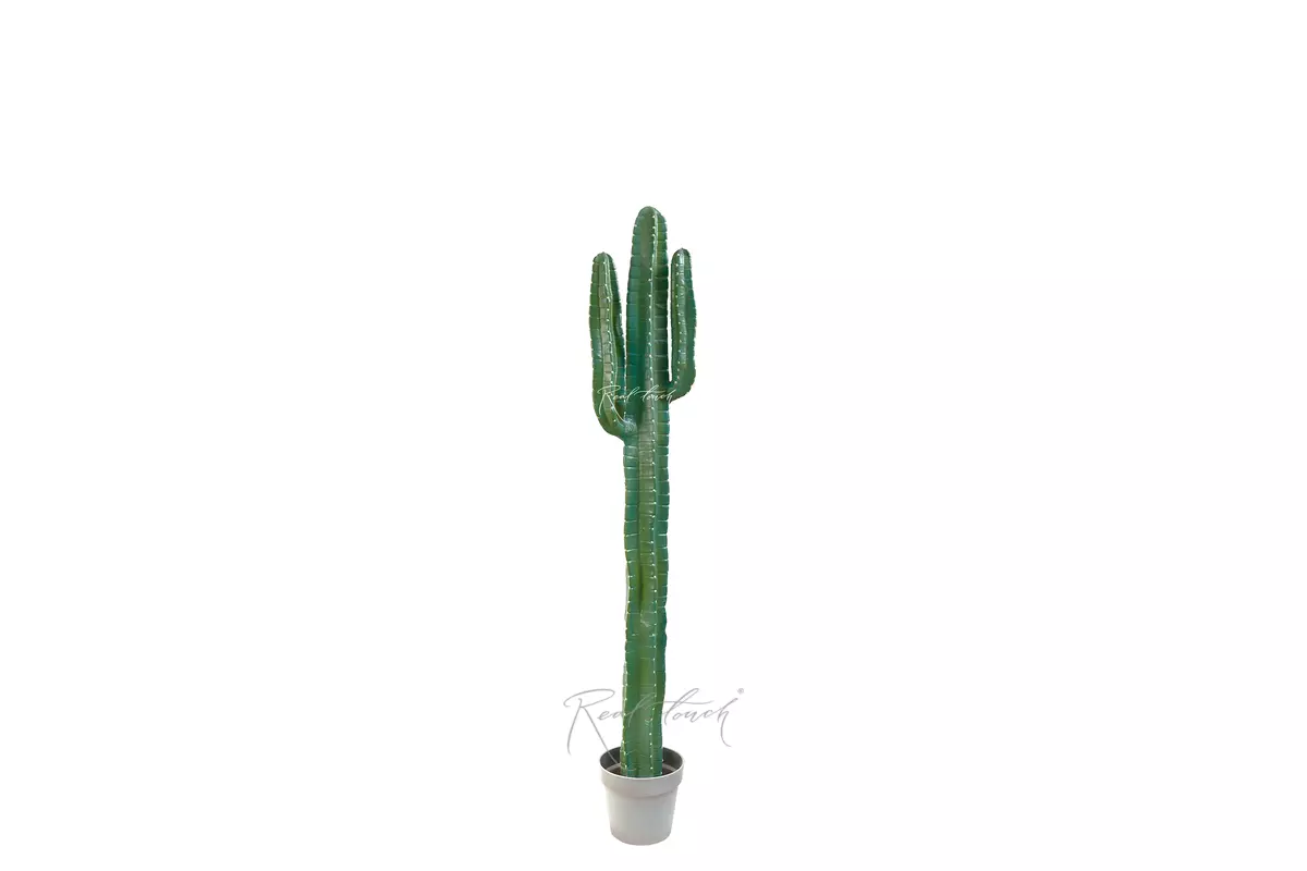 Real Touch Cactus Cereus big 141cm (with white needles) - green Real Touch Cactus Cereus big 141cm (with white needles) - green