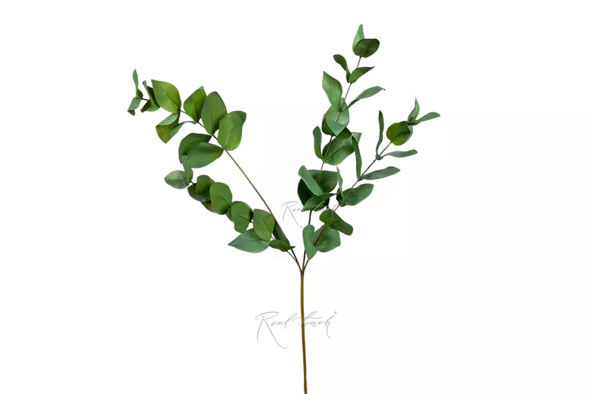Eucalyptus branch 32" - green Eucalyptus branch 32" - green
