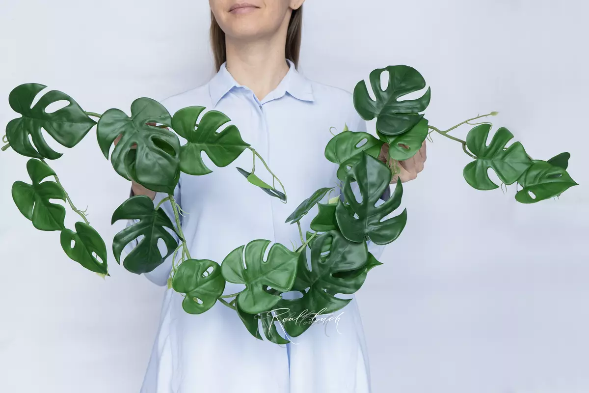 Trailing Monstera garland - green