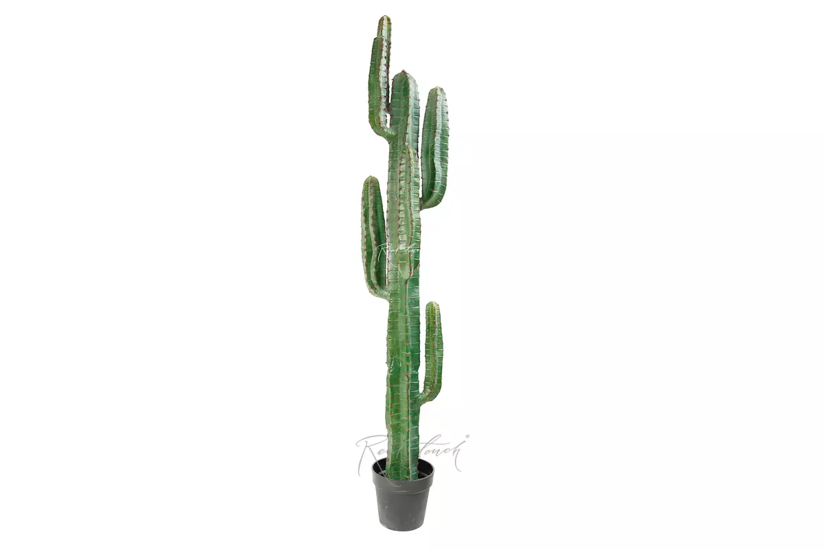 Real Touch Cactus Cereus big 161cm (with red needles) - green Real Touch Cactus Cereus big 161cm (with red needles) - green