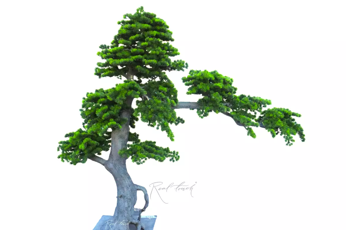 Bonsai tree 217*250*80 cm - green