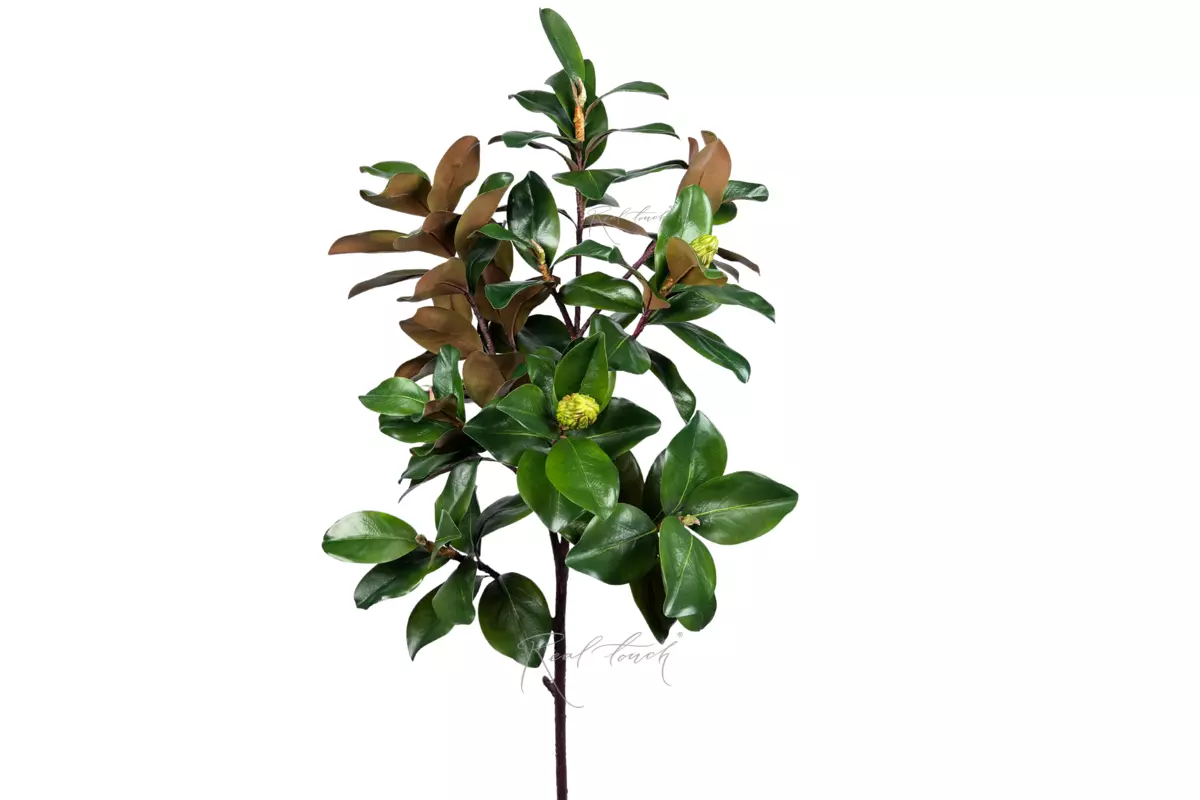 Magnolia branch with fruit 155cm - green