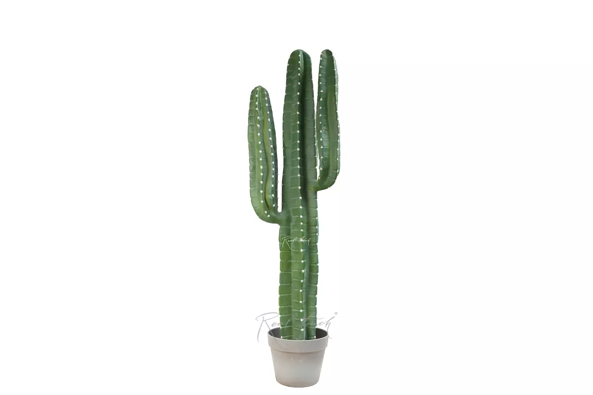Real Touch Cactus Cereus medium 98cm (with white needles) - green Real Touch Cactus Cereus medium 98cm (with white needles) - green