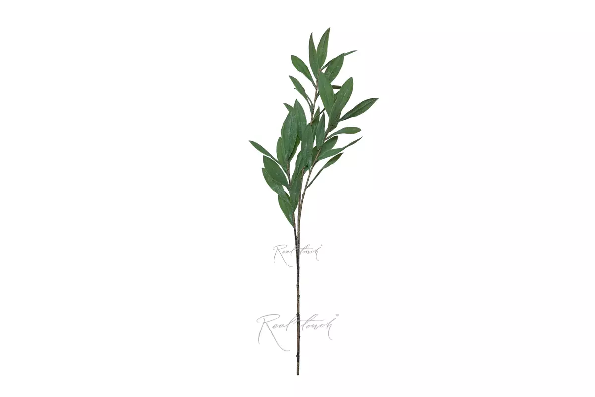 Olive branch 70cm - dusty green