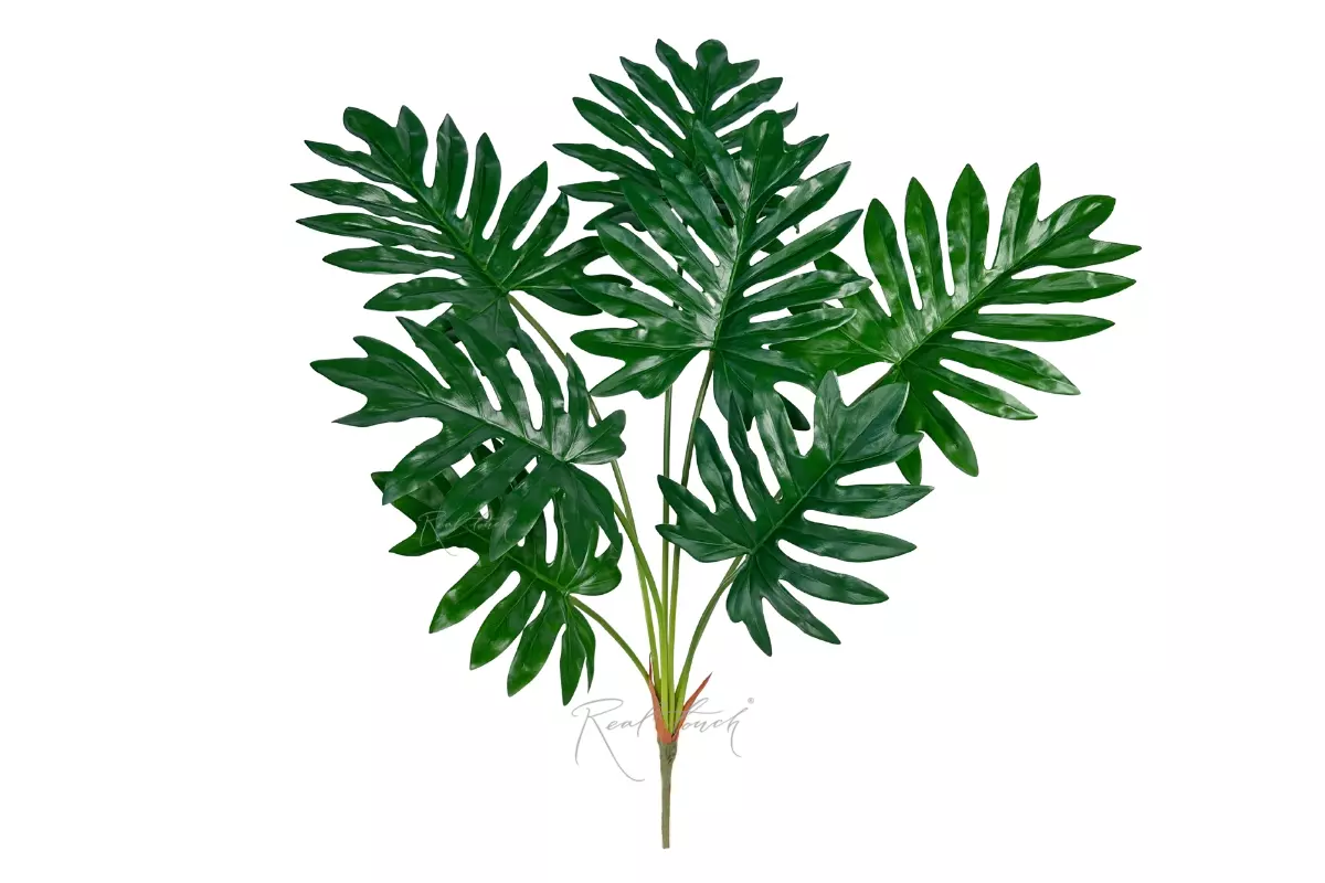 Philodendron Bush 7 Leaves - green