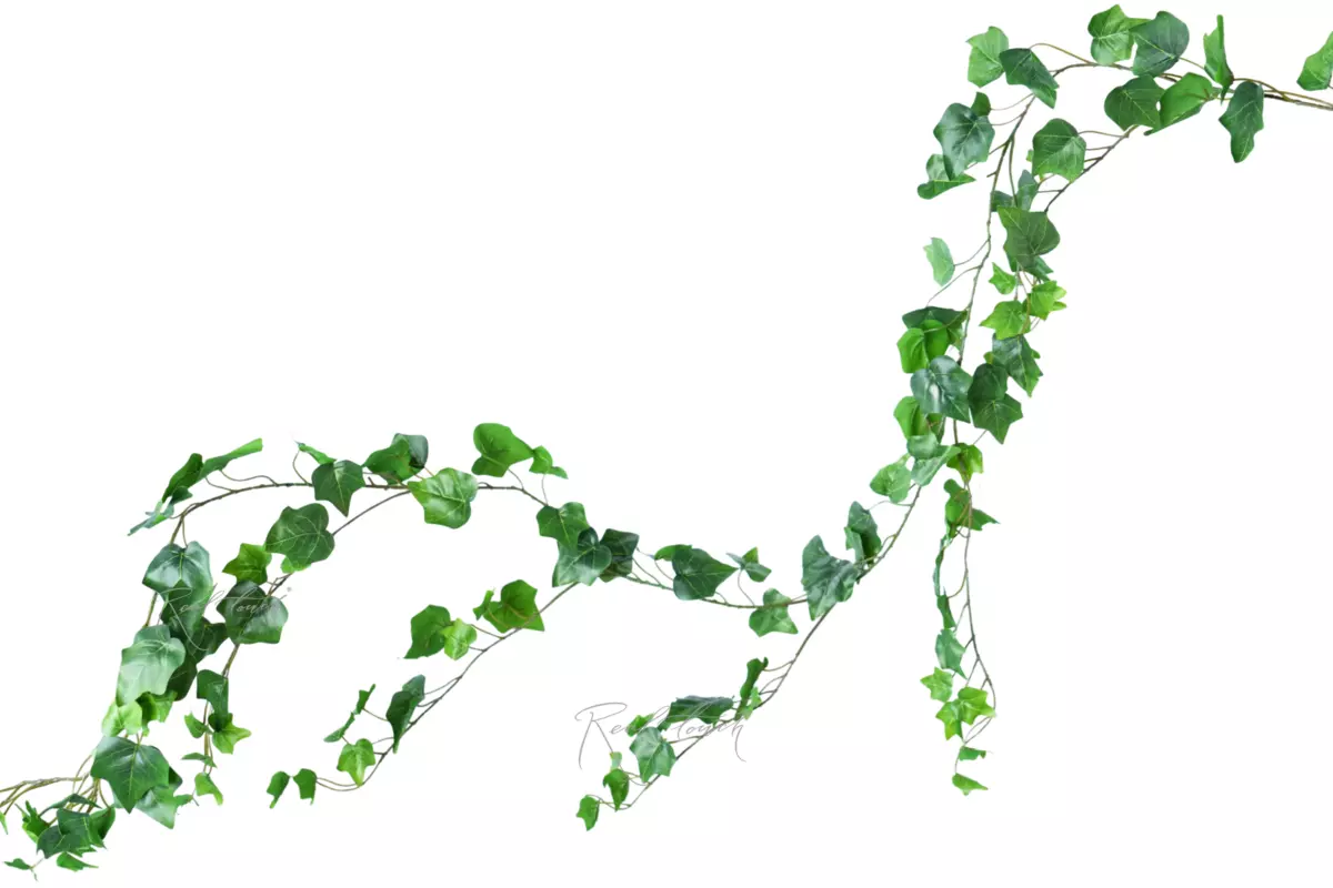 Ivy - liana 180 cm - green Ivy - liana 180 cm - green