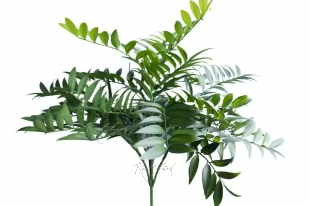 Ruscus bush with UV protection - green