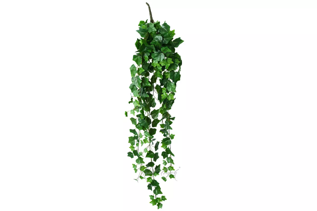 Ivy - bush 110 сm - green Ivy - bush 110 сm - green
