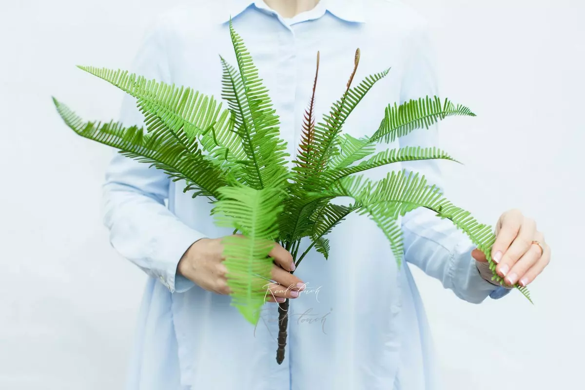 Woodsia 46cm - green