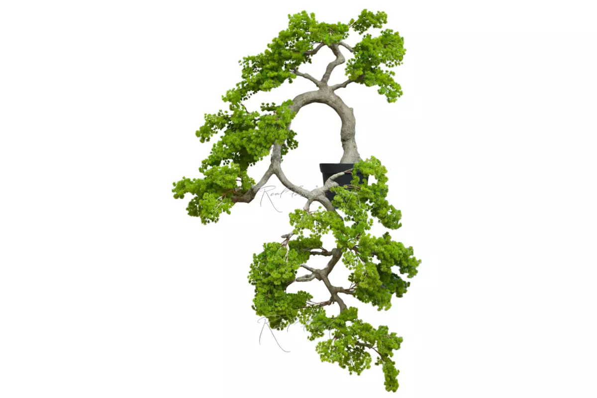 Real Touch Cascade Bonsai 160 cm with a short needle bend to the left  - green