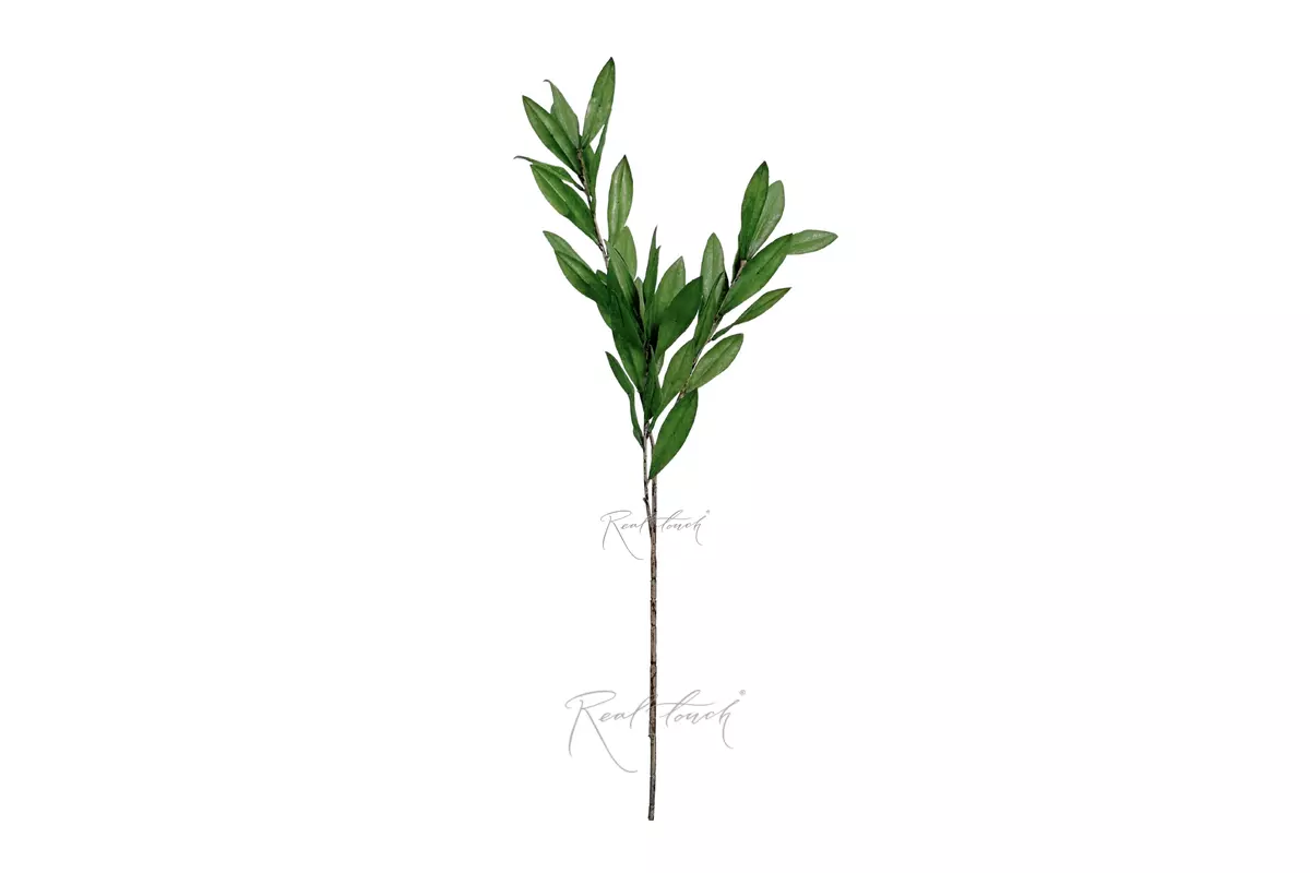 Olive branch 70cm - Dark green