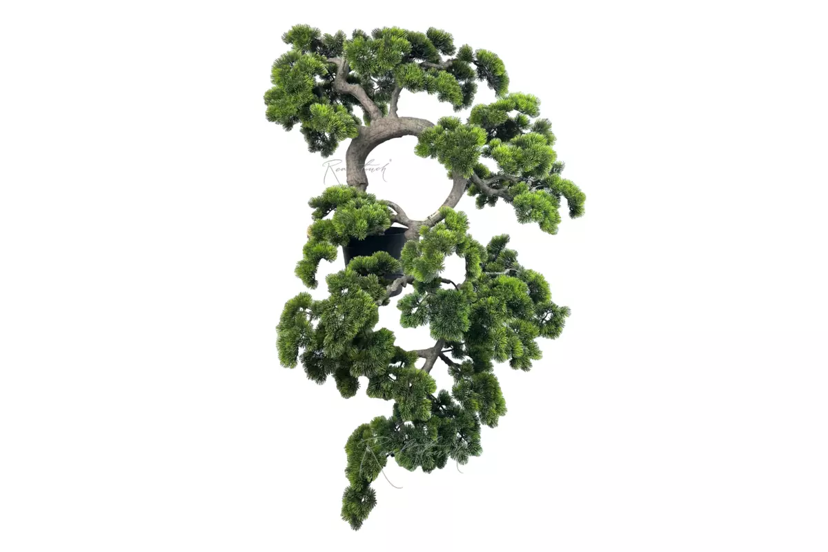 Bonsai cascade 145 cm with a long needle - green