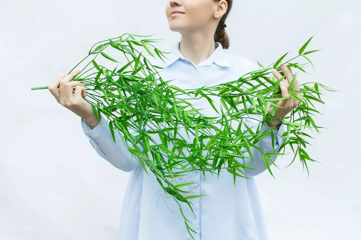 Bamboo hanging plant - green