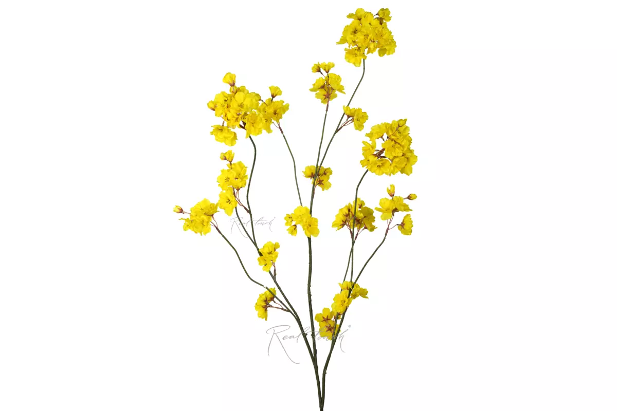 Branch with flowers - yellow Branch with flowers - yellow