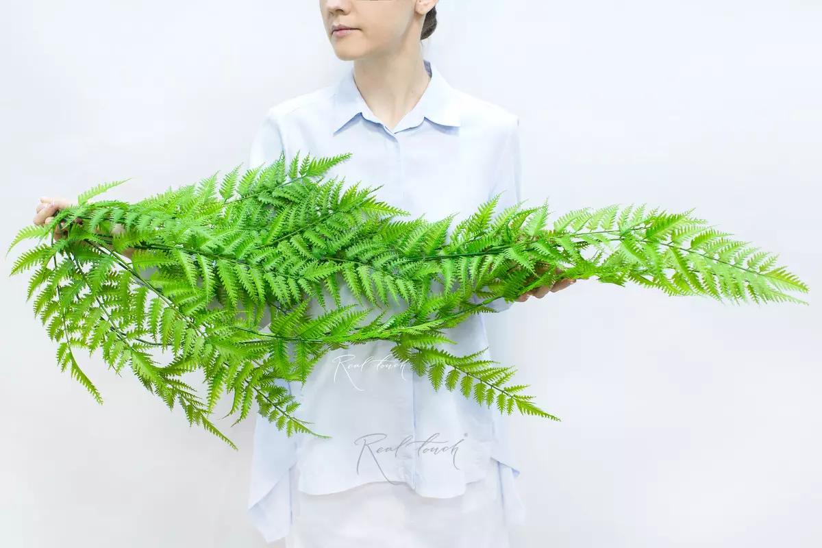 Dryopteris filix-mas extended 119cm - green