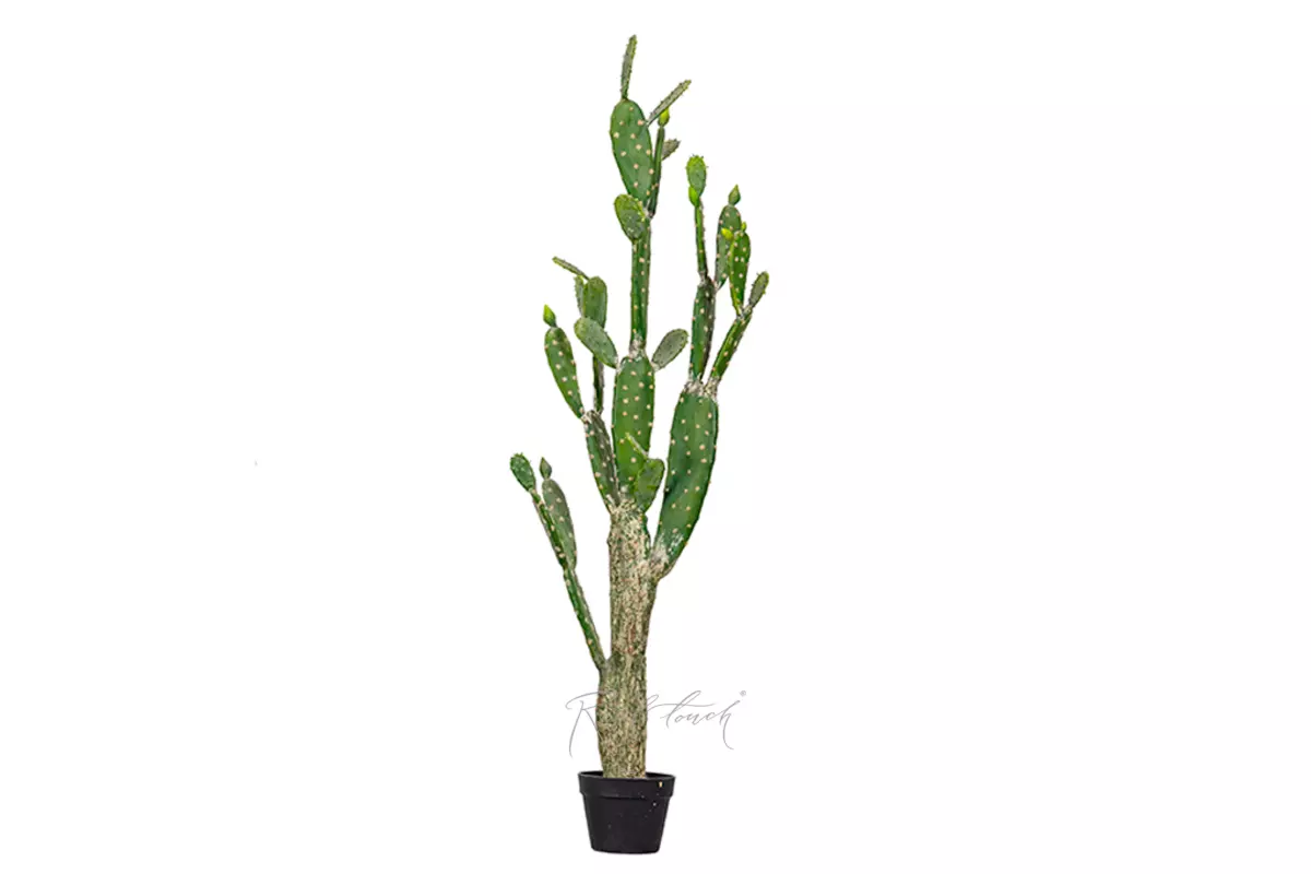 Artificial Cactus Opuntia tomentosa 148cm  - green