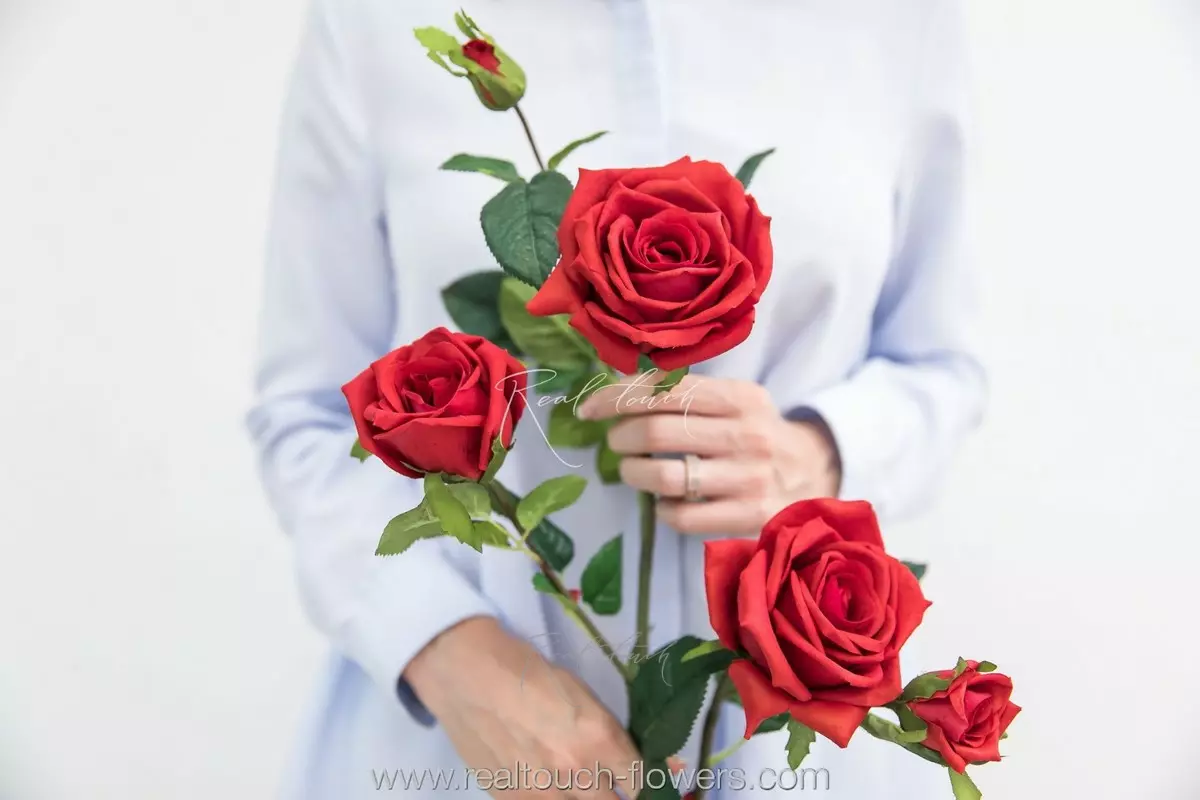 Open Rose 3+2 - red