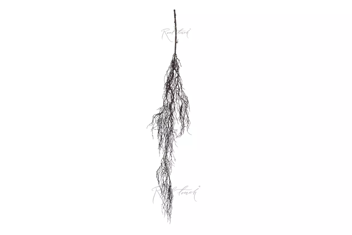 Roots 120 cm - Brown