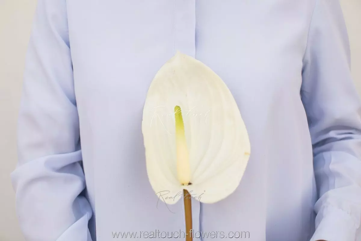 Large Real Touch Anthurium - white