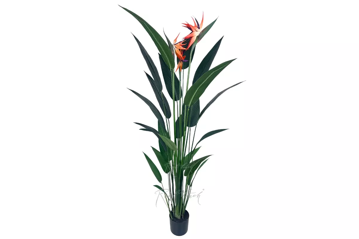 Bird of Paradise Artificial Strelitzia 180cm - green Bird of Paradise Artificial Strelitzia 180cm - green
