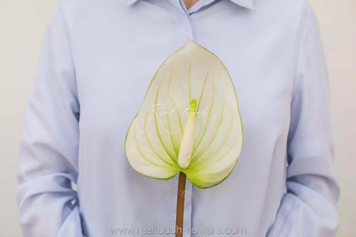 Large Real Touch Anthurium - green